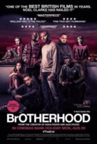 Brotherhood izle