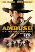 Dark Canyon izle