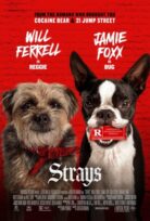 Strays izle